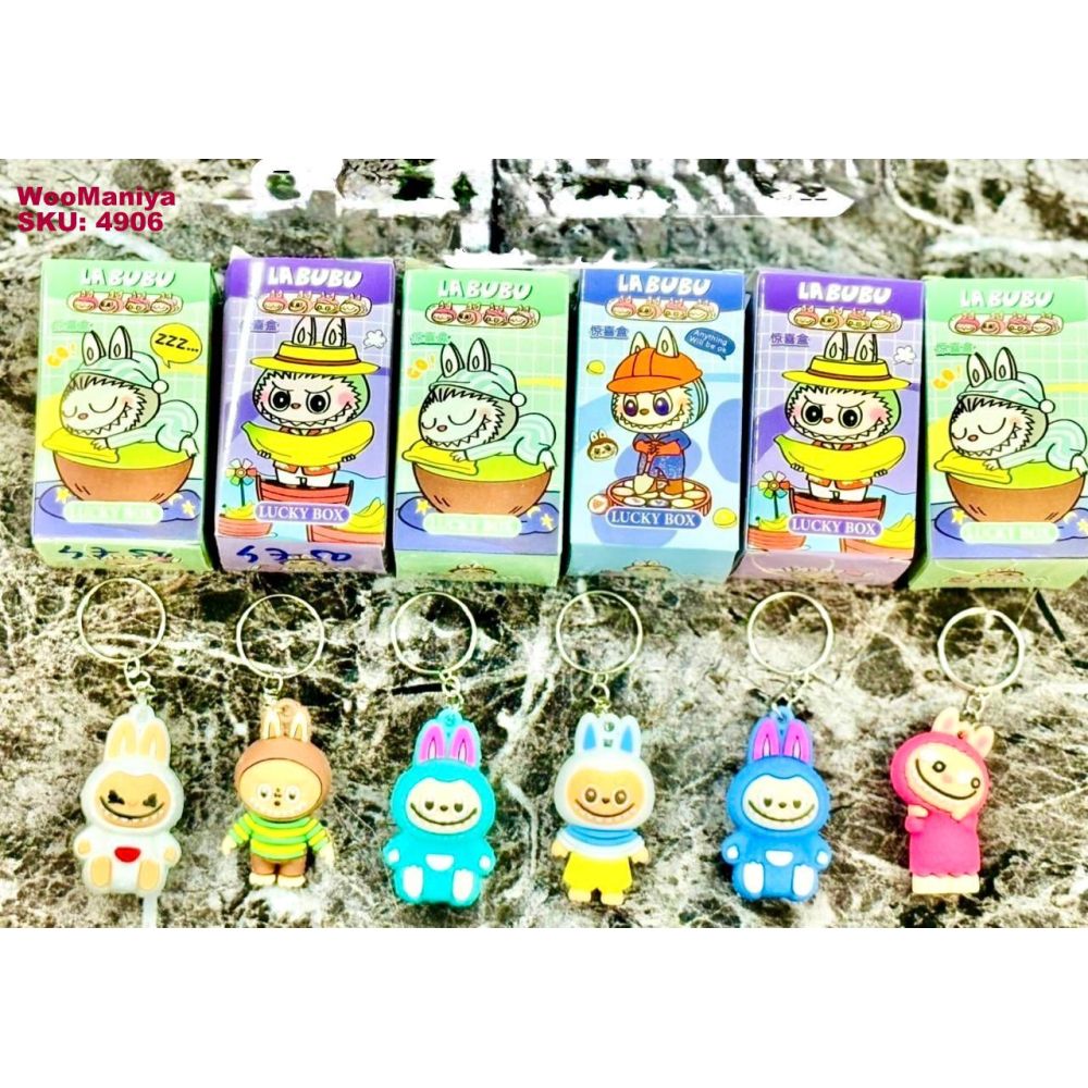 Labubu Surprice Box Key Chain Box Pkg