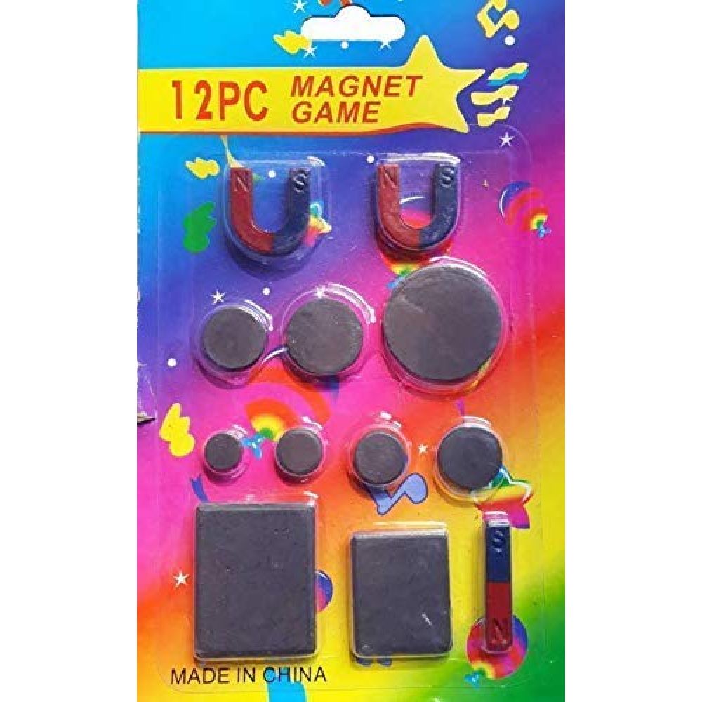 12Pcs Project Magnet 000 1 Blister Pkg